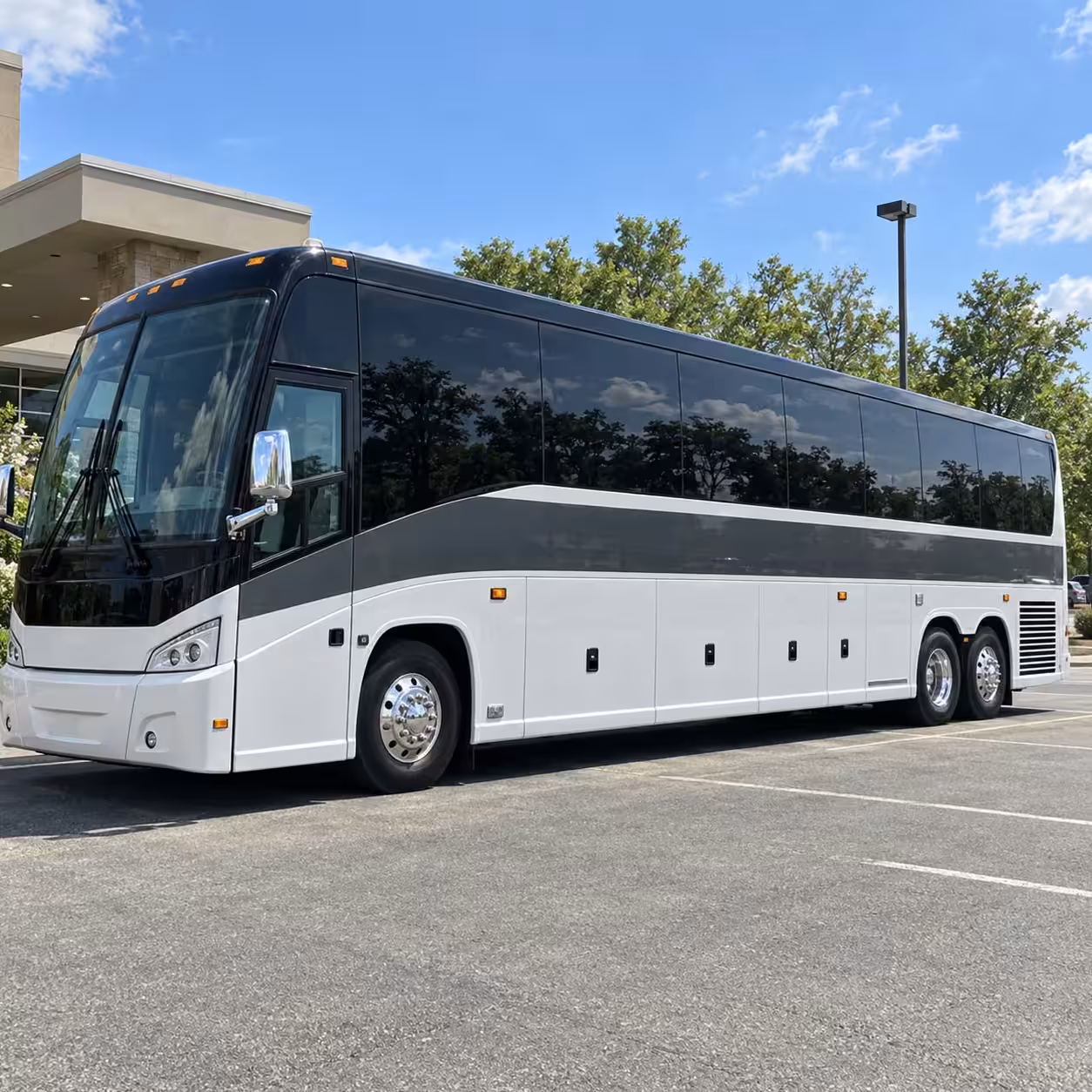 56 passenger charter bus
